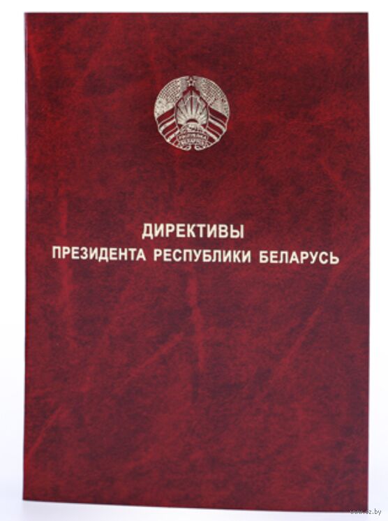 Отчёт о проводимой работе по реализации требований Директивы Президента Республики Беларусь от 11 марта 2004 года № 1